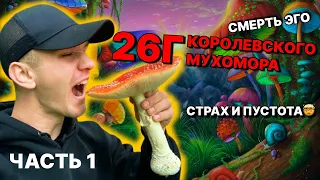 Мухоморный трип на 26г королевского. Пустота и ужас. Часть 1