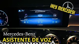 El ASISTENTE de VOZ más COMPLETO Mercedes-Benz | OV Detailing