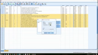 Working through a messy EFA (factor analysis) in SPSS