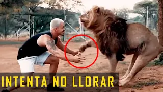 Intenta NO LLORAR con estos EMOTIVOS REENCUENTROS entre Animales y sus Dueños.