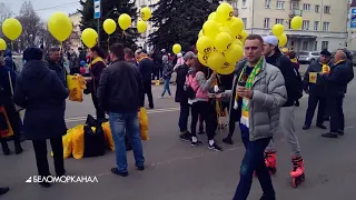 Шариков много. Тревоги ещё больше 📹 TV29.RU (Северодвинск)