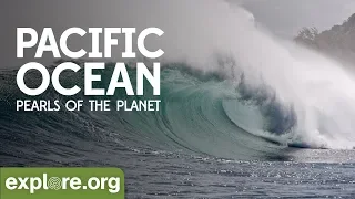 Pacific Ocean | Pearls of the Planet