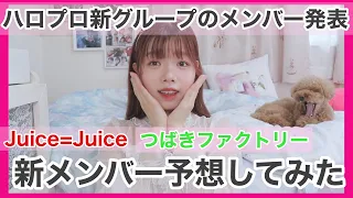 【ハロプロ】新グループ新メンバー発表とJuice=Juiceとつばきファクトリーの新メンバー予想。