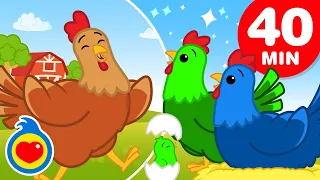 Galinhazinha 🐔🐤🐓 | E Muitas Mais Canções de Galinhazinhas e Pintinhos (40 Min) | Um Herói do Coração