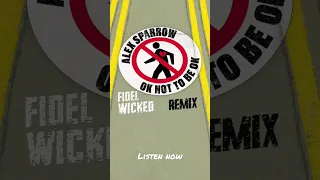 Alex Sparrow - OK not to be OK (Fidel Wicked Remix Teaser)