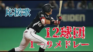 【プロ野球】12球団1-9応援歌メドレー