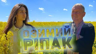 Озимий ріпак: КЛАРУС та АСТАНА Saatbau Probstdorfer Ukraine