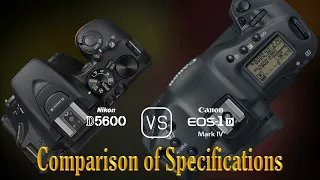 Nikon D5600 vs. Canon EOS-1D Mark IV: A Comparison of Specifications