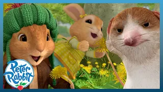 @OfficialPeterRabbit - 🌼 Spring's Dandelion Dilemmas 🌼 | Sharing is Caring 🤗 | Cartoons for Kids