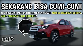 SUV Diesel Ini Diam² Bisa CUMI-CUMI TEBAL, Apakah LEBIH ENAK Dari FORTUNER!? | CDID V1.2.5 Roblox