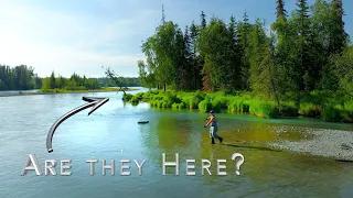Locals Only Spot Exposed! Kenai River Trout and Salmon Fishing Soldotna Alaska 2022