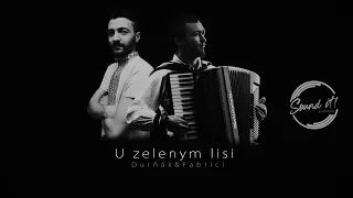 Durňák&Fabrici - U zelenym lisi /2020 Sound it!