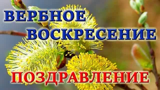 ❤ОЧЕНЬ КРАСИВОЕ ПОЗДРАВЛЕНИЕ! ВЕРБНОЕ ВОСКРЕСЕНЬЕ. 2021. Торжественный въезд Иисуса. МСЦ ЕХБ.