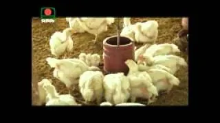 Btv Documentary of FICL Group