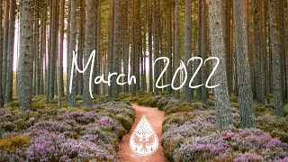 Indie/Pop/Folk Compilation - March 2022 (2-Hour Playlist)