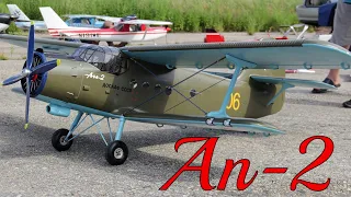 An- 2  | Antonov RC Airplane | 2.5m  Первый полет модель Ан-2   2,5 метра