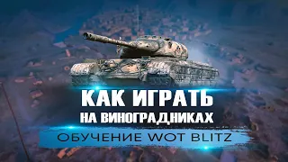 Как Играть На Карте Виноградники Tanks Blitz. Раскатки И Позиции. Обучение От Капитан Блиц №2!