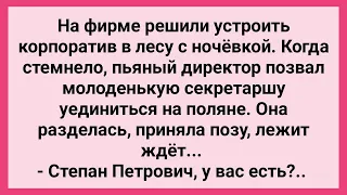 Пьяный Директор Уединился в Лесу с Секретаршей! Сборник Свежих Смешных Жизненных Анекдотов!