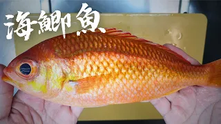 【誰來午餐】海味饗宴？我給你翻譯翻譯。| 感謝各方海上好男兒贈送各種好魚讓我請客吃飯(上集)