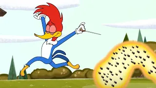 Woody Woodpecker | Woody runs away from bees | Woody Woodpecker