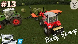 400K! Loan | Buying New Farm Area | Bally Spring | FS22| Timelapse #13