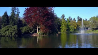 Drone video of Park Berg & Bos @ Apeldoorn Netherlands