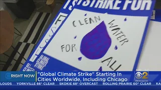 Youth Activists Leading Global Climate Strike