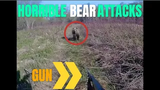 BEAR ATTACKS 2024 / HORRIBLE BEAR ATTACKS / ANIMALS ATTACKS ON HUMAN 2024