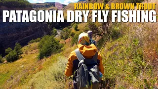 Patagonia Dry Fly Fishing - Rainbow & Brown Trout on Dry Flies in GIN-CLEAR WATER IN PATAGONIA!