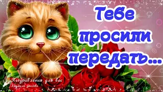 🌸☕️ Доброе утро! 🌸Тебе просили передать... Желаю огромного счастья!🌸 Позитивчик для друзей!