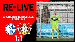 1:1 – Neutgens rettet Punkt | Schalke 04 U19 🆚 Bayer 04 Leverkusen U19 1:1 | A-Junioren-Bundesliga