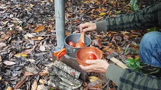 Outdoors cooking. How to cook tomato soup | Bushcraft | Camping | #shorts