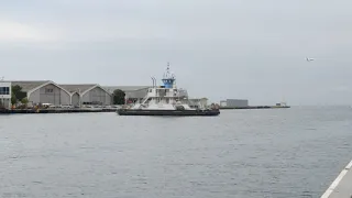 Billy Bishop Airport flight taking off