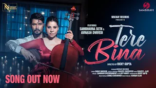 TERE BINA (VIDEO) - SAMBHAVNA SETH ENTERTAINMENT | SAMAR M | AVINASH DWIVEDI | SANJEEV | SS VLOGS