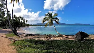 Grand Paradise Samana. Пляж, прогулка в деревню Las Galeras. Dominicana.