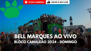 As antigas no Bloco Camaleão (Domingo) parte 4 (Músicas sem parar).