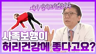 사족보행이 척추건강에 도움이 된다고요? (feat.허리와 직립보행)