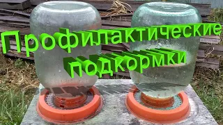 Профессор Кашковский про профилактические подкормки