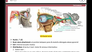 6-Cranial nerve distributions