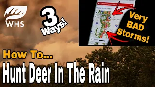 3 Ways To Hunt Deer In The Rain
