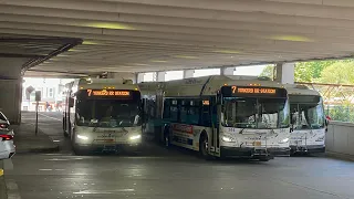 Westchester Bee Line Bus Action in New Rochelle Bus Terminal