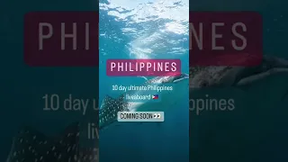 Best of the Philippines 10-day Liveaboard (Visayas)