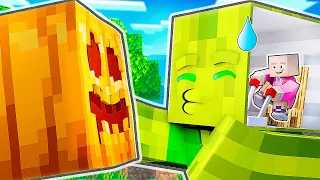 24 STUNDEN ALS CHAOSFLO PRANKEN | Minecraft Freunde