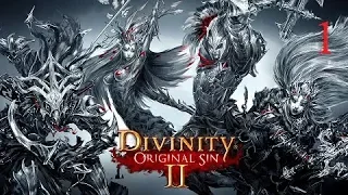 Divinity Original Sin 2. Part 1 of Chaos and Order, A Tale of no Particular Importance.