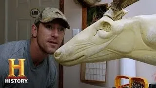 Swamp People: Taxidermy | History