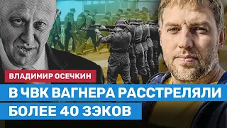 Осечкин: Зэки на войне  — это не добровольцы. Их вынуждают воевать в Украине под угрозой расстрела