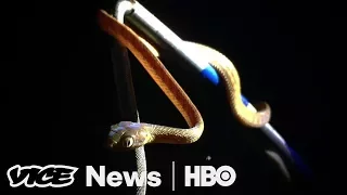 Guam's Snake Invasion & Chernobyl Nuclear Power Plant: VICE News Tonight Full Episode (HBO)