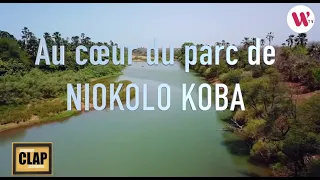 Clap Parc Niokolo Koba