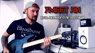 @fredguitarist оценивает вокал птицы | Умеет ли