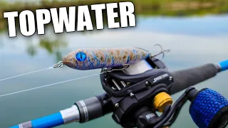 Spring Topwater Bass Fishing - Bass LOVED this Lure!